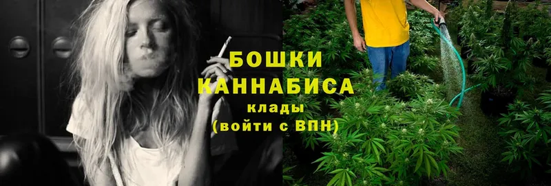 сайты даркнета официальный сайт  МЕГА вход  Миллерово  Шишки марихуана OG Kush 